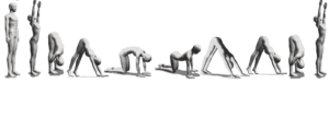 Surya Namaskara A Base Form